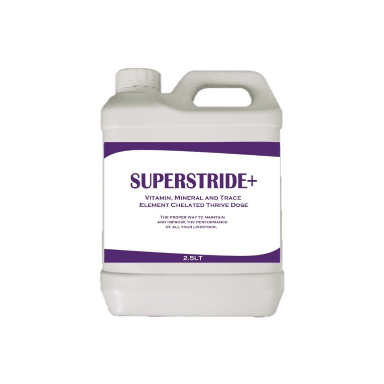 Superstride+ 2.5Ltr