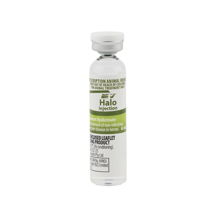 Halo Joint and Bone Support Injection 6ML by CEVA for Horses and Camels