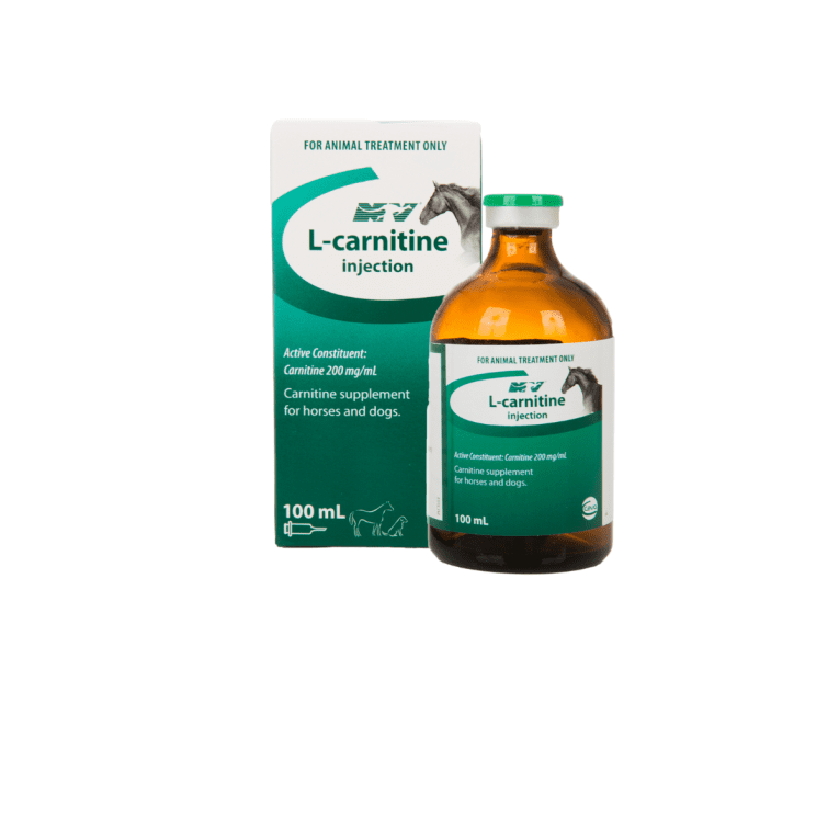 L-Carnitine 100ML Injection