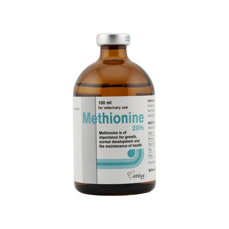 VetViva Methionine 20% Liver Protection and Amino Acid Injection 100ML for Horses, Cattle and Livestock