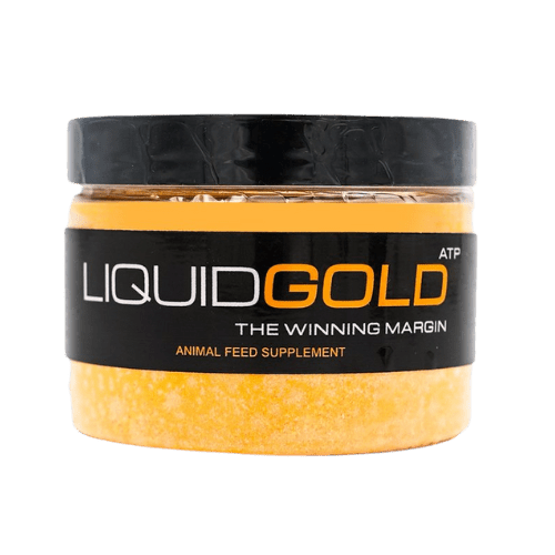 Lquid Gold 1